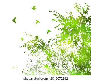 A Green tree with flying birds. Vector illustration