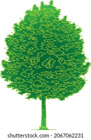 Color de edición libre de árbol verde