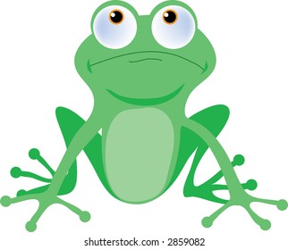 Green tree frog with big buggy eyes