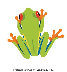 Green tree frog illustration sitting against a white background for design graphic