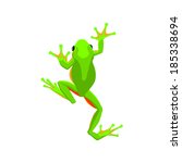 Green tree frog vector