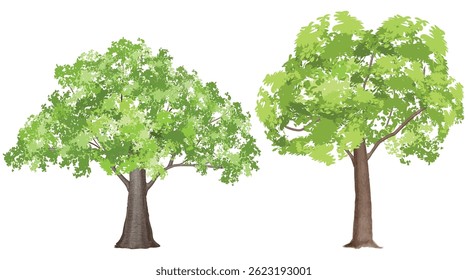 Green Tree, un elemento de vista frontal para decorar el jardín o el parque. Ilustración vectorial de acuarela