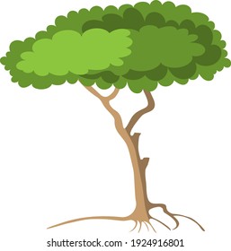 Green tree - fruit tree painted in the modern doodle style, coloring book for children. Icon for garden magazine, outline drawing symbol.