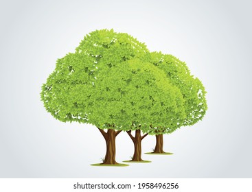 Buen concepto de árbol verde tierra verde, bosque, buen libro de educación e ilustración de la historia