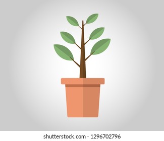 green tree growth concept on gray background with light