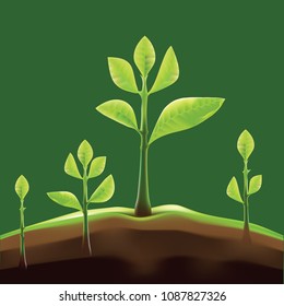 Green tree growth design as vector of nature development process diagram eco concept