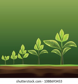 木 成長 過程 のイラスト素材 画像 ベクター画像 Shutterstock