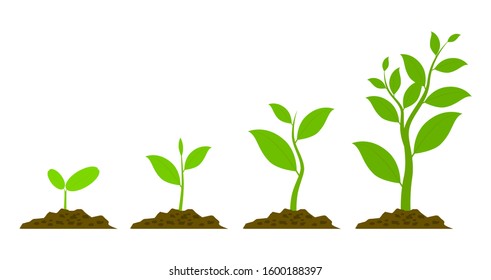 Green tree growth eco concept. - Shutterstock ID 1600188397