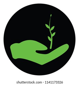  Green tree in hands
