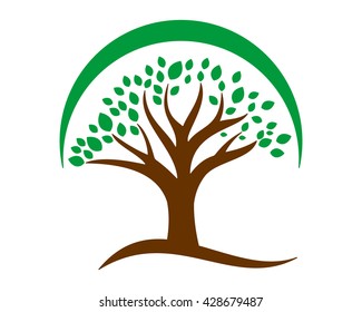 green tree herbal leaves leaf plant floral image vector icon