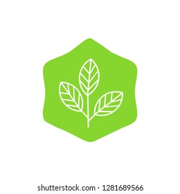 green tree in the hexsagon logo vector