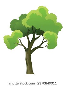 Green tree icon. Natural forest plant, ecology garden template. Beautiful green leaves isolated on white. Spring time tree. Flat vector illustration