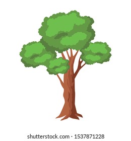 green tree icon over white background, vector illustration