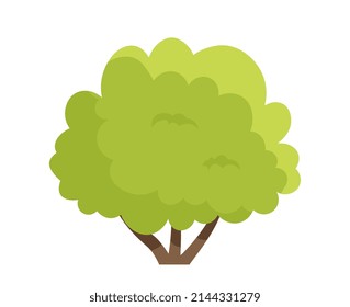 Green Tree icon. Realistic garden shrub with branches, small bright leaves and shadows. Environment and nature. Organic design element. Cartoon flat vector illustration isolated on white background