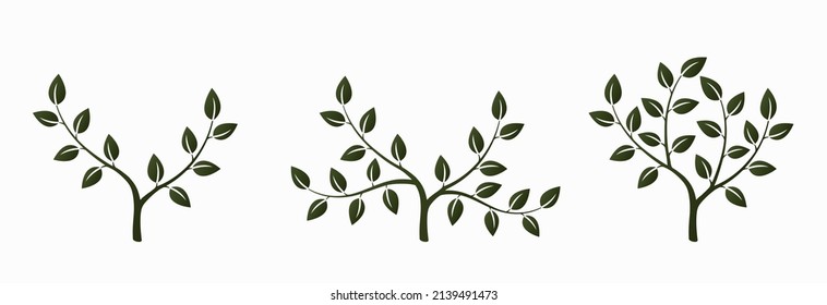 conjunto de iconos de árbol verde. símbolo ecológico, botánico y vegetal. elemento de diseño natural. imagen vectorial aislada