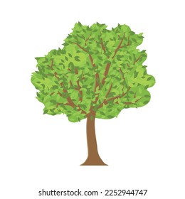 green tree icon- vector illustration