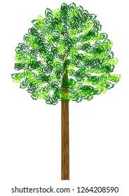 Green tree isolated