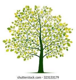 green tree isolated