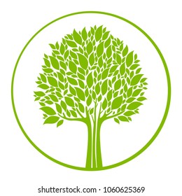 Green Tree isolated on a white background.  Logo tree. Vector illustration