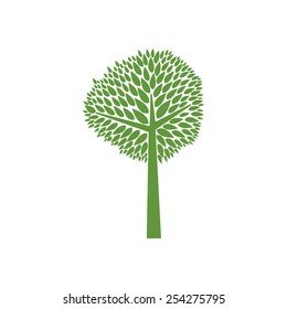 green tree isolated on white background