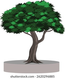 green tree isolated on white. Cartoon Style Tree on a Round Base