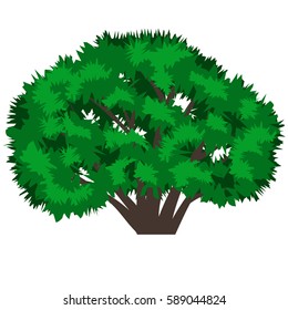 Green tree isolated on white background. Use as landscape element for scene creating. Vector illustration