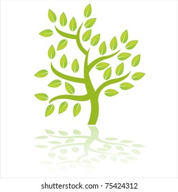 green tree  isolated on white