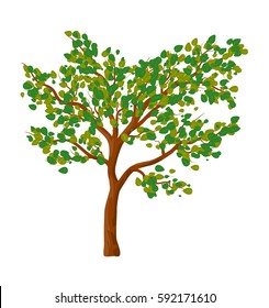 Green tree isolated vector symbol icon design. Beautiful illustration isolated on white background

