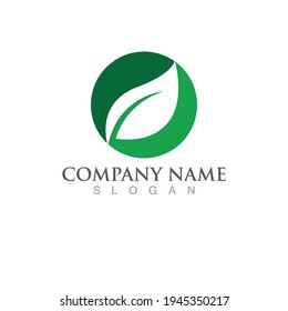 Green Tree leaf ecology logo. Nature element vector