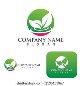 Grünes Baumblatt Ökologie Logo Naturelement Vektorgrafik