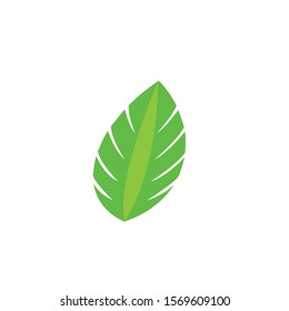 green Tree leaf ecology nature element vector