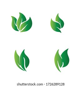 ecología de hoja de árbol verde como elemento natural vector 