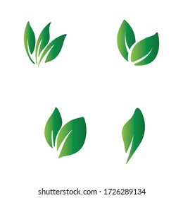 ecología de hoja de árbol verde como elemento natural vector 