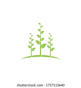 Ecología de la hoja verde elemento de diseño vectorial