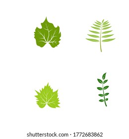 Grünes Baumblatt Ökologie Naturelement Vektordesign