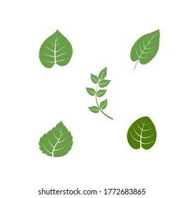 Green Tree leaf ecology nature element vector design