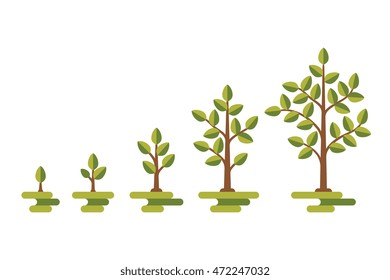 Green tree with leaf growth diagram. Business cycle development, vector illustration