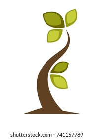 Green tree and tree leaf icon or logo template.