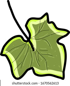 Green tree leaf, illustration, vector on white background.