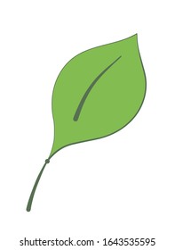 Green tree leaf in logo style on white background