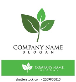Green tree leaf nature logo images illustration design
