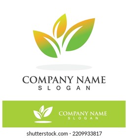 Green tree leaf nature logo images illustration design
