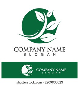 Green tree leaf nature logo images illustration design