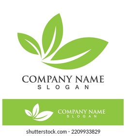 Green tree leaf nature logo images illustration design