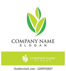 Green tree leaf nature logo images illustration design