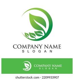Green tree leaf nature logo images illustration design