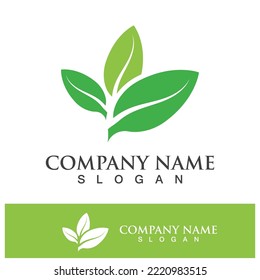 Green tree leaf nature logo images illustration design