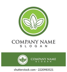 Green tree leaf nature logo images illustration design