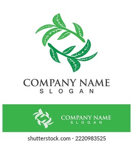 Green tree leaf nature logo images illustration design
