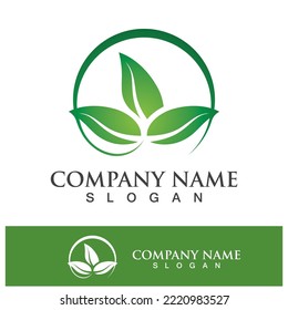 Green tree leaf nature logo images illustration design